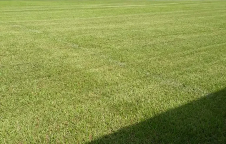 IMG-20240719-WA0074